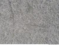 photo texture of grass dead 0010